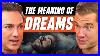 Brain Surgeon Reveals The Neuroscience Of Dreams U0026 What They Truly Mean Dr Rahul Jandial