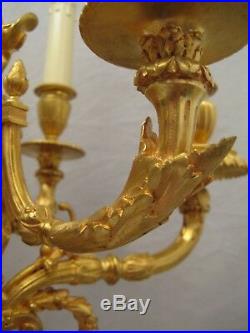 Grande paire de candélabres style Louis XVI bronze doré signés Jollet époque XIX