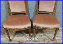 Jolie paire de chaises de style Louis XVI en noyer vers 1850 Jolie paire de chaises de style Louis XVI en noyer vers 1850