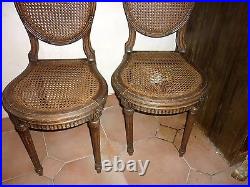 Paire de chaises de style Louis XVI en bois assise et dossier canné médaillon