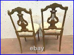 Paire de chaises de style Louis XVI en bois doré XX siècle