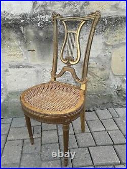 Rare Chaise Lyre Style Louis XVI bois doré