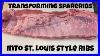 Transforming Spareribs Into Delicious St Louis Style Ribs